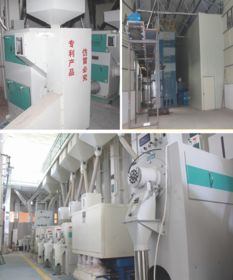 科技賦能，品質為本 揭秘大米企業(yè)贏得尊敬與信賴的秘訣